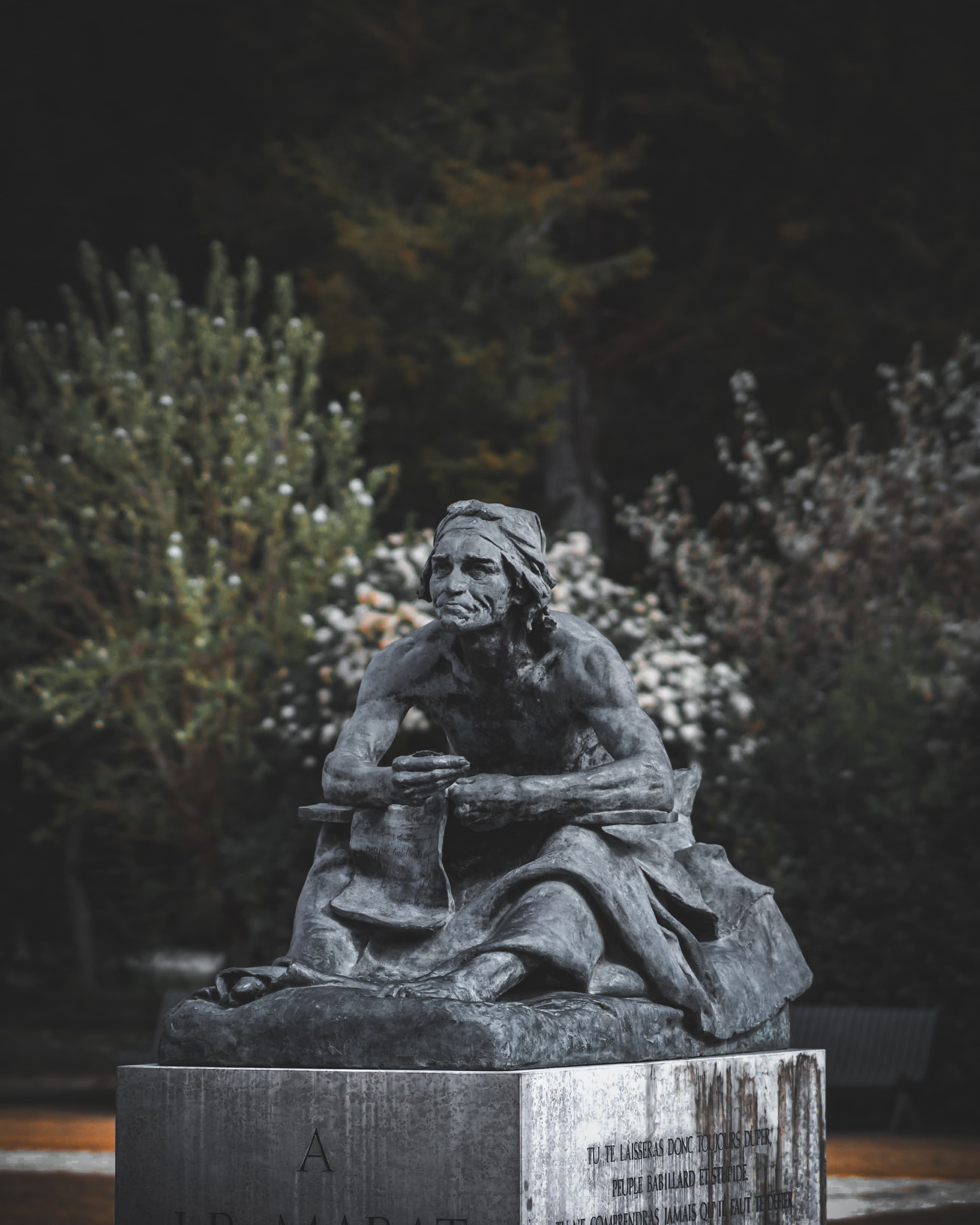 Gallery image 2: _DSC0611